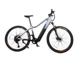 Bicicleta Eléctrica CECOTEC Mountain Avanti 29"