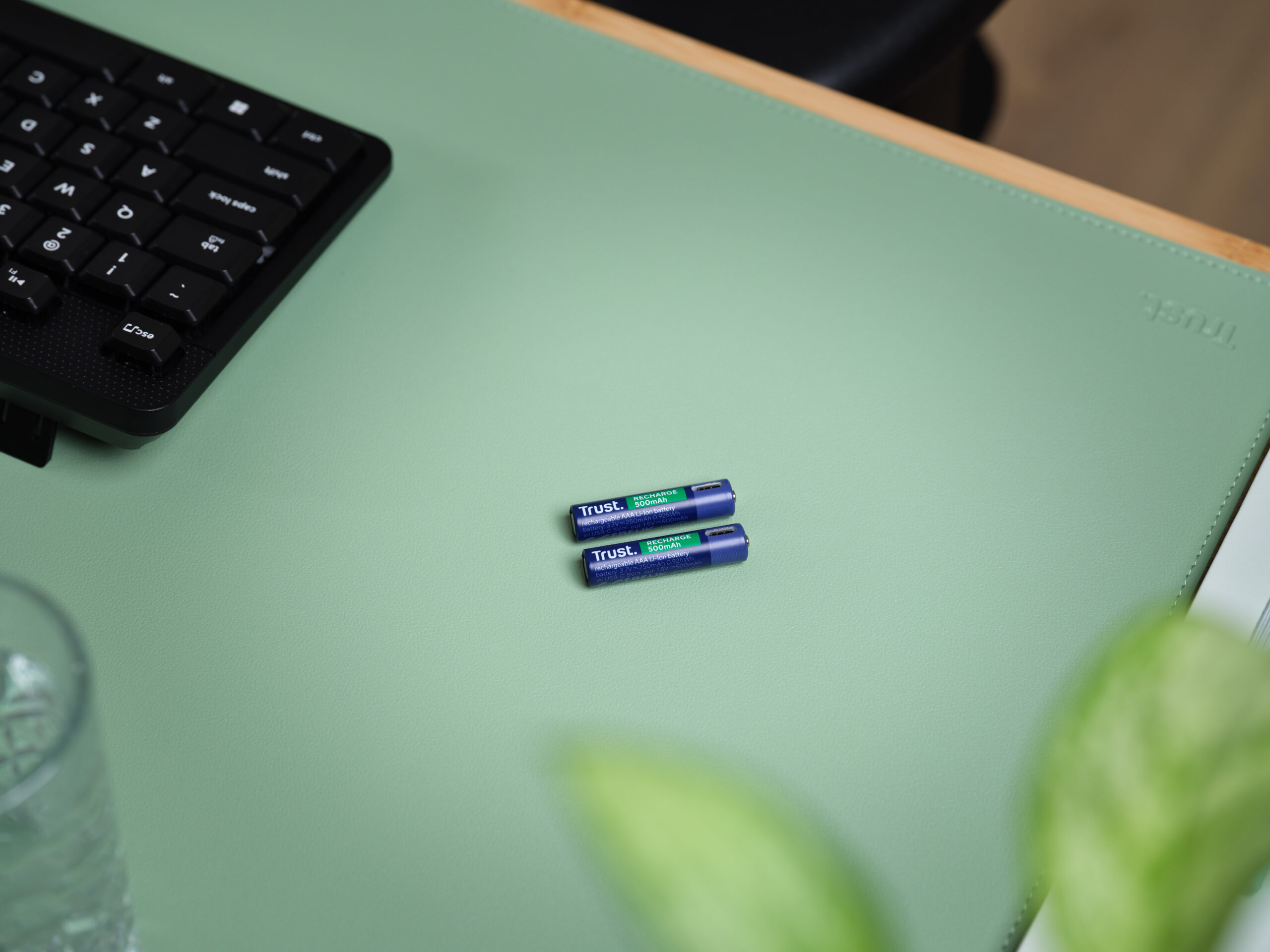 Pilas Trust Recargables AAA 2 Unidades Pilas Trust Recargables AAA 2 Unidades