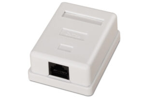 Roseta AISENS RJ45 Cat.5 UTP 1 Toma Blanca