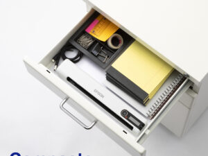 Escáner Portátil Epson DS-80W A4 Blanco