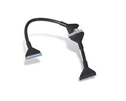 Cable Belkin Ultra ATA 133 Redondo Negro