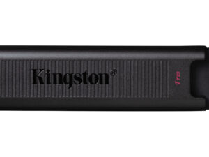 Pendrive Kingston DT Max 1Tb USB-C Negro