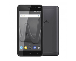 Maqueta DUMMY Lenny4 Plus Negra