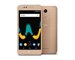 Maqueta DUMMY UPULSE Dorado