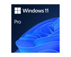 Windows 11 Pro 64Bit OEM DVD