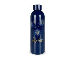 Botella Acero 750ml Harry Potter Azul/Oro