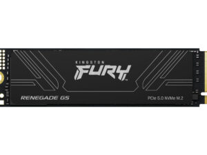 SSD Kingston FURY Renegade G5 1Tb M.2 NVMe