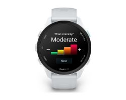 Smartwatch Garmin Forerunner 170 Blanco Smartwatch Garmin Forerunner 170 Blanco