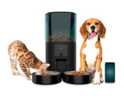 Comedero CECOTEC Pumba 8600 Double Meal Vision